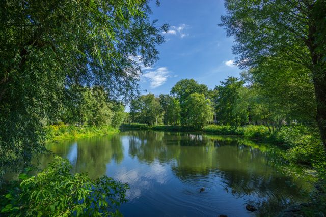Serene pond surrounded by lush greenery and trees, reflecting clear blue sky. Perfect for websites, advertisements, or blogs focusing on nature, relaxation, or outdoor activities. Ideal for promoting mental well-being, retreats, meditation, or environmental conservation efforts.