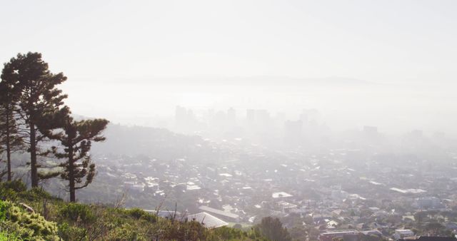 A hazy morning view showing mist blanketing a cityscape with faint silhouettes of buildings, framed by trees on a hillside. Ideal for travel blogs, environmental articles, urban landscape showcases, or materials emphasizing tranquility and natural beauty amidst urban settings.