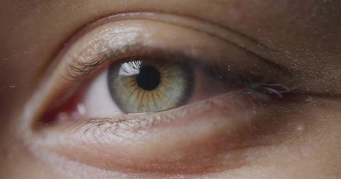 Close-Up of Hazel Eye with Detailed Iris and Soft Reflection