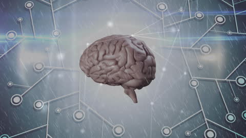 Concept of Neural Networks and Human Brain Communication