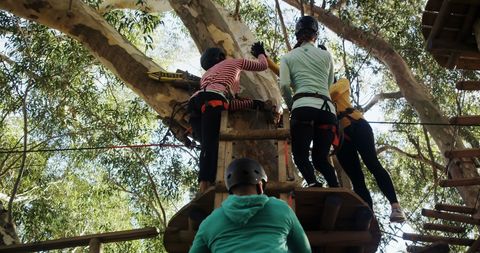 Diverse Group Enjoys Tree Climbing Adventure Together
