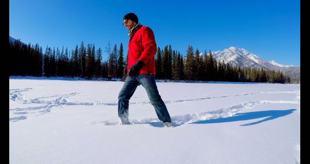 Man Walking on Snowy Landscape in Winter Mountain Forest - Download Free Stock Images Pikwizard.com