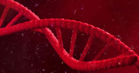 digital data interacting with red dna strand in abstract space - Download Free Stock Images Pikwizard.com