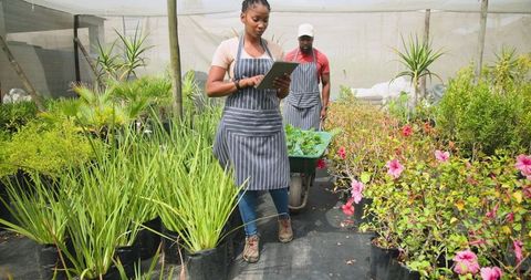 Coworkers Using Tablet in Nursery Shadehouse Among Plants