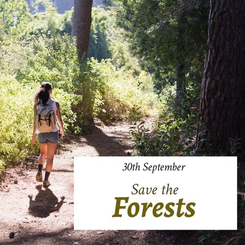 young traveller hiking green forest path for conservation awareness - Download Free Stock Templates Pikwizard.com