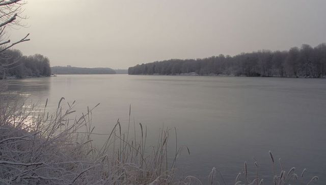 Icy river stretching toward misty horizon with frost-covered reeds and bare winter trees