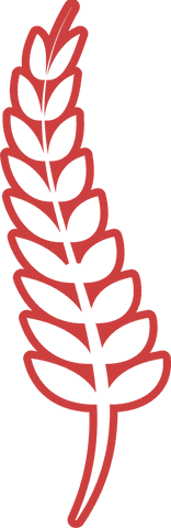 red wheat ear illustration on transparent background - Download Free Stock Videos Pikwizard.com