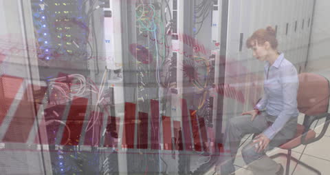 Financial Data Analysis and Server Management Integration