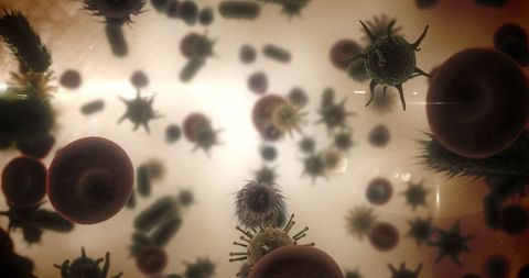 Close-up of viruses, red blood cells, and bacteria