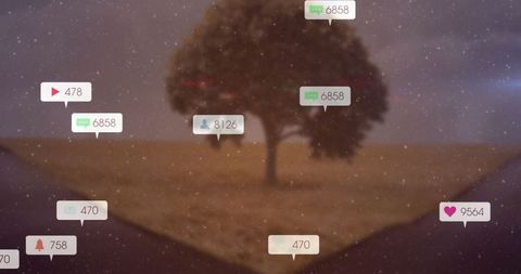 Solitary Tree and Virtual Notifications at Sunset Landscape Fork