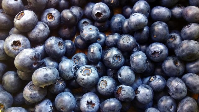 Closeup of freshly harvested blueberries highlighting their natural textures and rich colors. Ideal for promoting healthy eating, fresh produce, antioxidants, and organic foods. Suitable for use in food blogs, nutrition articles, diet-related content, and recipe websites.