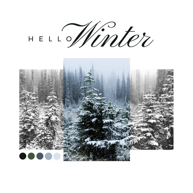 Composite of hello winter text and view of snow covered pine trees in forest, copy space. Greeting, nature, cold temperature and winter concept.