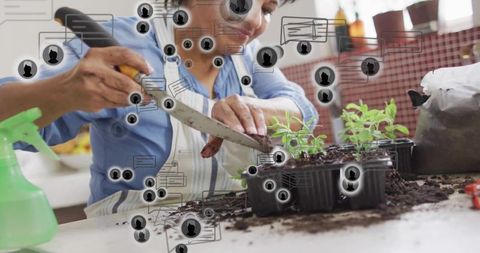 Indian senior potting seedlings at kitchen counter with gardening tools and chat icons