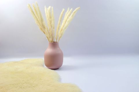 Minimalist beige vase with dried grass in bright room