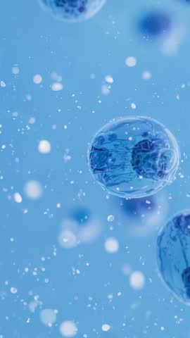 Vertical microscopic spheres drifting and rotating in fluid revealing internal filament networks