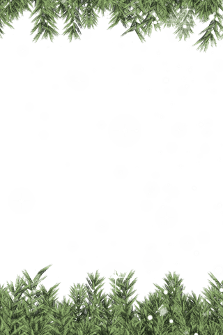 transparent background with pine tree branches and snowflakes - Download Free Stock Videos Pikwizard.com