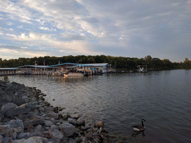 Picture depicting a peaceful lakeside scene during early evening. Features calm waters reflecting the sky and surrounding nature, with boathouse structures and piers. Rocks lining the shore lead to water where a goose is swimming. Ideal for projects related to nature, serenity, outdoor activities, relaxation, and travel promotions.
