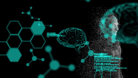 Conceptual Digital Interface with Human and Data Elements