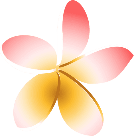 stylized five-petal gradient flower on transparent background - Download Free Stock Videos Pikwizard.com