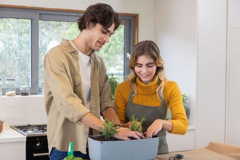 Couple engaging in indoor herb gardening activity