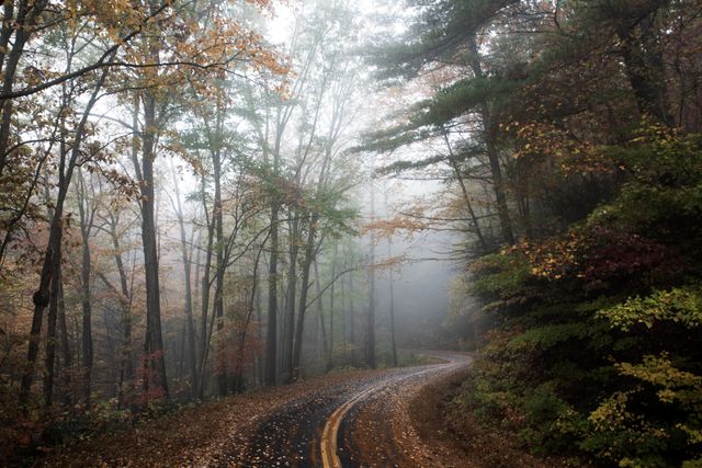 Winding country road curving through a foggy autumn forest with colorful fall foliage. This serene and atmospheric scene can be used for travel and adventure promotions, nature-themed projects, inspirational outdoor backgrounds, or environmental awareness campaigns.