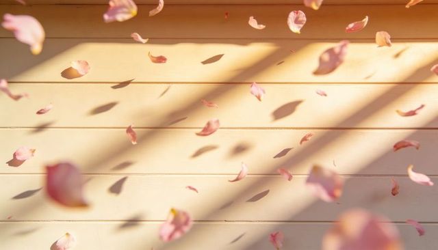 Drifting pink rose petals casting soft shadows on sunlit beige wood paneling, diagonal light