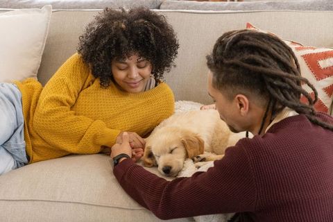 Couple relaxing on sofa holding hands and petting sleeping golden retriever puppy