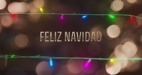 Feliz Navidad Festive Message with Holiday Lights