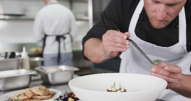 Chef Adding Final Touches to Dish in Professional Kitchen - Download Free Stock Images Pikwizard.com