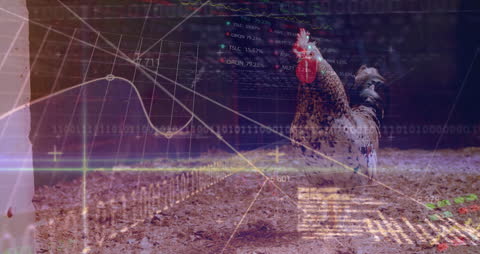 Global Digital Interface Analyzing Agriculture Data