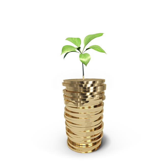 Transparent Growth Concept: Green Plant Growing on Stack of Gold Coins - Download Free Stock Videos Pikwizard.com