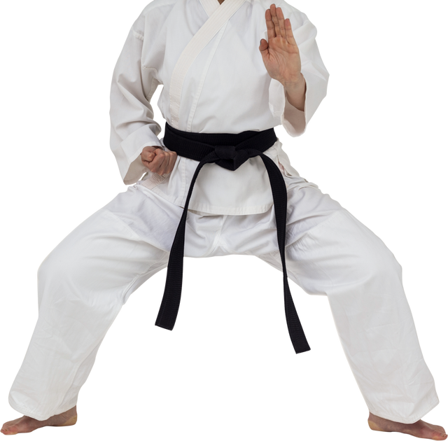 Karate Fighter in White Gi Performing Strong Stance on Transparent Background - Download Free Stock Videos Pikwizard.com