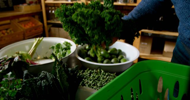 Person Selecting Fresh Organic Vegetables at Local Market - Download Free Stock Images Pikwizard.com