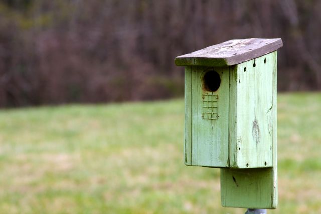 A green birdhouse stands in a grassy field with a blurry forest background, perfect for themes of nature, wildlife, and outdoor living. Ideal for conservation campaigns, environmental education, or countryside lifestyle content.