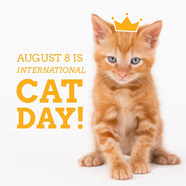 Perfect for promoting International Cat Day events, social media campaigns, and cat-related products. Great for adding a playful and celebratory touch to marketing materials. Ideal for cat lovers and animal welfare organizations.