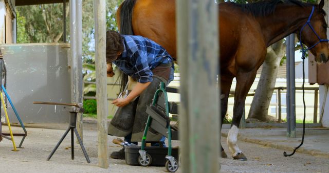 Farrier trimming and maintaining horse hooves at an outdoor stable. Useful for depicting equine care, farrier services, veterinarian work, animal husbandry, rural living, and outdoor occupations. Great for use in equestrian training materials, horse care instructional guides, and animal health presentations.