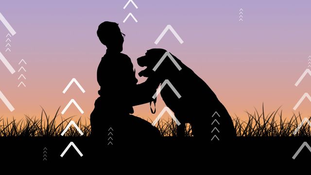 Image depicts person and dog in silhouette during dusk with overlay of graphic arrows, symbolizing direction and strategy. Ideal for concepts around companionship, pet training, guidance, goals, or branding emphasizing forward thinking and upward mobility.