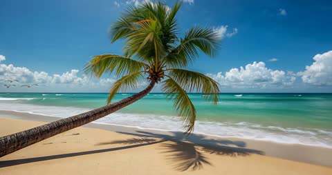 Tropical Beach Ocean Waves and Palm Tree in Breeze