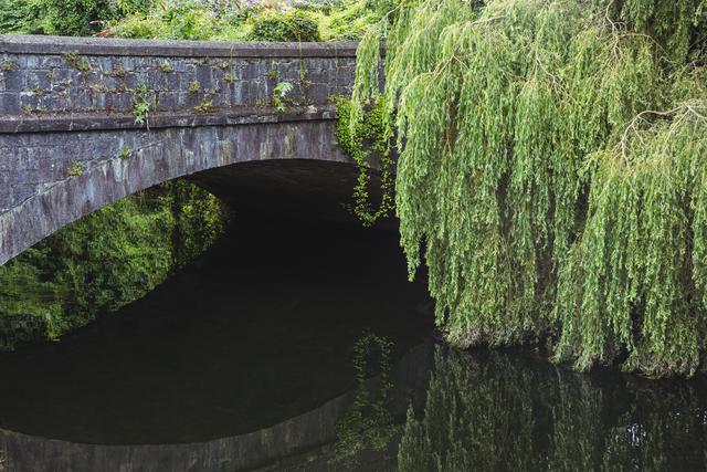 Stone bridge with lush greenery and reflections in water. Ideal for nature-themed projects, travel blogs, and outdoor landscape promotions. Perfect for conveying tranquility and natural beauty.