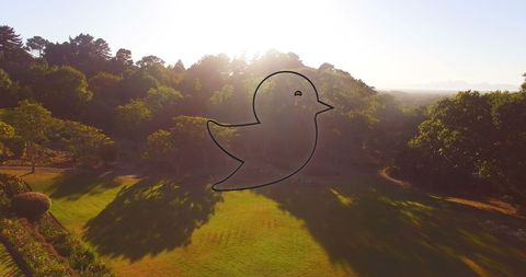 Neon Bird Icon Overlaying Sunrise Over Peaceful Landscape - Download Free Stock Images Pikwizard.com