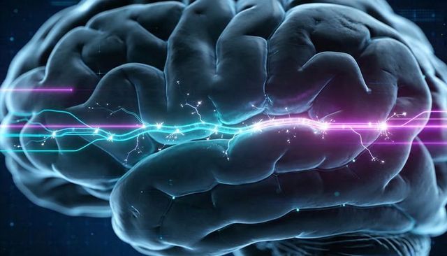 Neon Neural Pathway Tracing Across Human Brain Model Showing Electric Sparks and Signals