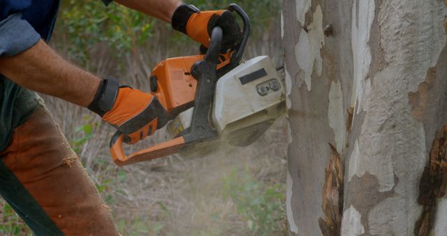 A middle-aged man is operating a chainsaw to cut through a tree trunk, with copy space. Sawdust is scattered in the air, highlighting the power of the tool and the action of cutting wood.