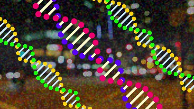 This vibrant animation of DNA strands over a blurred night cityscape background can be used in science and technology presentations, educational materials, digital art projects, and media featuring genetics or city life themes. The multiple colors and abstract feel make it suitable for creative industries looking to highlight innovation and modern visual design.