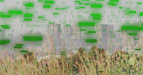 Binary code overlay sliding across urban grass and skyline, blending data with nature