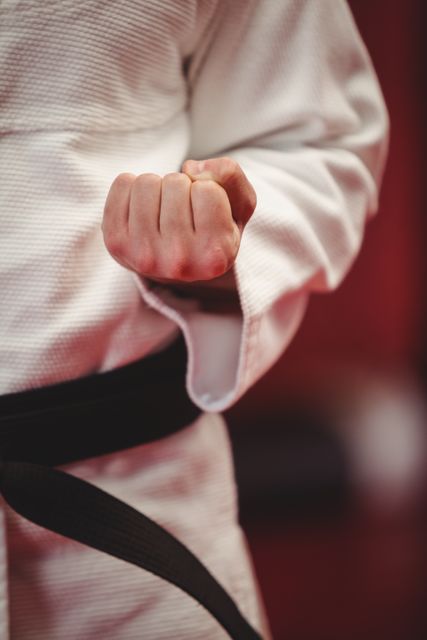 Karate player in traditional white gi with black belt clenching fist, demonstrating readiness and focus. Ideal for use in articles or advertisements related to martial arts training, self-defense classes, fitness, discipline, and combat sports.