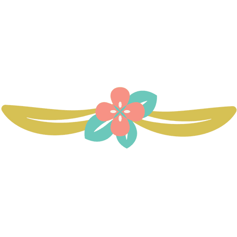 Colorful Floral Ornament with Transparent Background Illustration - Download Free Stock Videos Pikwizard.com
