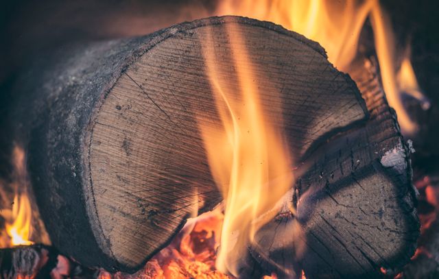 Close Up of Burning Firewood in Bonfire - Download Free Stock Photos Pikwizard.com