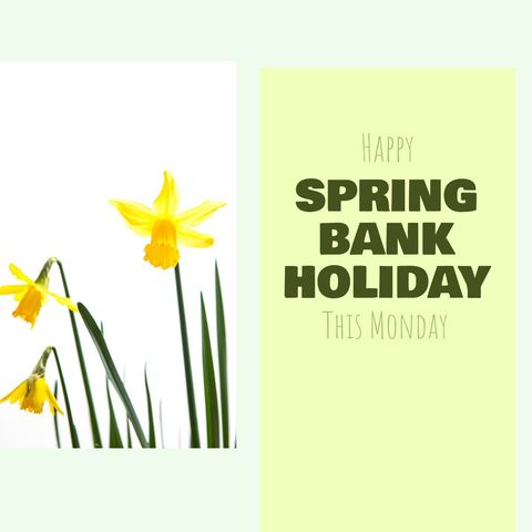 Spring bank holiday greeting with yellow flowers