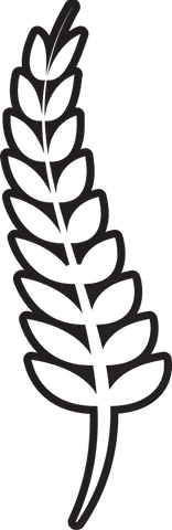 transparent cereal wheat symbol illustration - Download Free Stock Videos Pikwizard.com