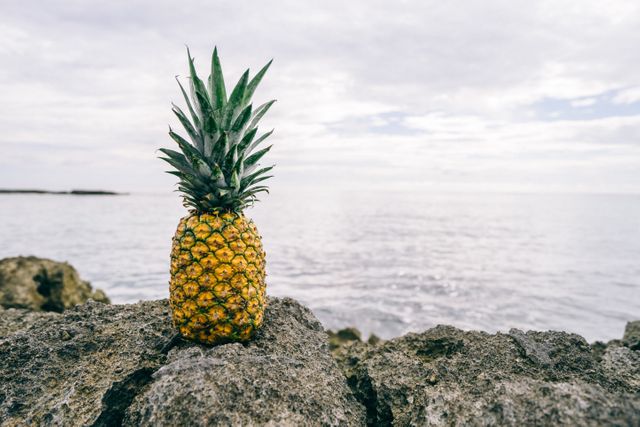 This image features a pineapple set on a rocky shore with an overcast sky above the ocean. Ideal for use in themes related to tropical vacations, healthy eating, and nature beauty. Can be used for travel blogs, healthy lifestyle articles, food promotions, and coastal environments.